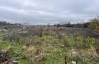 TEREN DE VANZARE PROGRESULUI 5600 MP !!! - 7