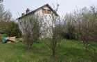 Investitie Calimanesti  - 2