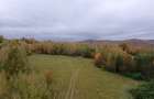 Teren ideal recreere/conectare cu natura/zona Fagaras/achitare in rate - 12
