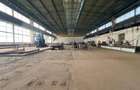 Vanzare hala Calea Chisinaului Iasi, zona Carrefour, 4482mp - 9