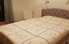 Apartament zona Garlei-Dobrogeanu Gherea cu terasa mare si curte proprie - 4