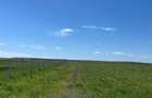 RECO teren intravilan Sanmartin- padure Baile Felix - 1