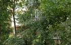 Apartament 3 camere. Cu 2 bai. Zona Parc Tineretului. - 1