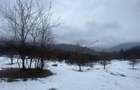 TEREN VALEA DOFTANEI - 2