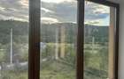 Casa P+E, teren 6.900 mp, sat Barbatesti / com Cocu /jud Arges - 10
