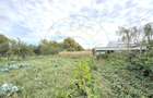 Casă 3 camere, Teren 3.263 mp, Str.Mărășești Nr.16 -Carei-Comision 0% cumpărător - 11