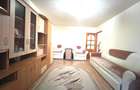 Apartament 2 camere 50mp Crisan mobilat utilat 63.000eur neg - 7