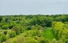 Snagov / Teren 5000 mp+Cladire 4200 Mp/ Investitie Comerciala sau Rezidentiala - 11