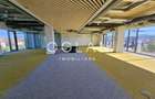 Spatii de birouri PREMIUM (nZEB) 449 mp, ZONA CENTRALA  - 9