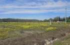 Teren Corbeanca – Balotești, 35.000 mp, lângă pădure și nodul rutier A0. - 1