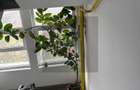 Apartament 2 camere Soseaua Giurgiului / Bloc reabilitat - 2