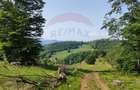 Teren 130000 mp extravilan, faneata si padure, Munteni - Bulz, Negreni - 13