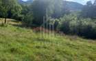 Teren în Fântânele – 3.673 mp, pârâu si cadru natural  deosebit - 2