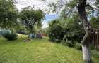 2 Case + teren 1390 mp langa parcul central Provita de Sus - 49