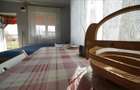 MICRO-FERMA + CASA IN VOIVOZI - BIHOR - 19