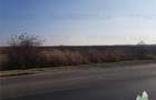 Teren extravilan - Braila - E584 - vanzare - 1