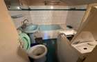 Vanzare apartament patru camere plus garsoniera in vila cartierul Armenesc curte - 20