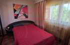 Inchiriere  apartament renovat 2 camere parcare Plopilor parcul Babes - 6