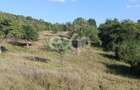 Teren extravilan de vânzare Tigveni | 4.944 mp | Panoramă superbă - 5