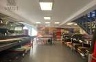 SPATIU STRADAL 567 MP - VAD COMERCIAL - PACHE PROTOPOPESCU - 12