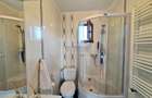 Vila + Afacere 15.000mp Clinceni - 20