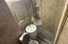 apartament decomandat de inchiriat cu 2 camere  in Cismigiu - 6
