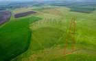 5 hectare teren agricol cu front la șosea, zona Sântana - 7