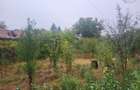 Teren 1055 mp,situat la 5 minute de Parc Comana,intre case - 5