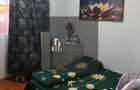 Apartament 2 camere,parter,curte,mobilat/utilat Prelungirea Ferentari - 5