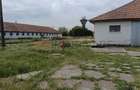 Ferma complet utilată – 30 ha teren comasat cu 11.500mp grajduri renovate Timiș - 7