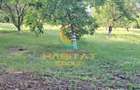 Vanzare casa noua individuala 230 mp Parcul Tineretului - 4