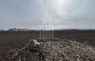 Teren intravilan de vânzare – 10.000 mp – Zona Industrială Vest | Comision 0% - 5