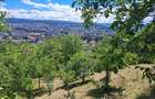 Teren intravilan 1640mp, Grigorescu, zona Hotel Premier, destinatie constructii - 6