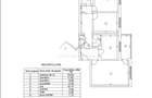 Apartament 3 camere Decomandat Nicolina 2 - 10