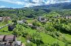 TEREN INTRAVILAN 2.000 MP ÎN PEȘTERA – MOIECIOU | IZVOR PROPRIU | UTILITĂȚI | D - 6
