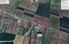 Teren intravilan pentru hala, cu acces din DN7, Vladimirescu - 2