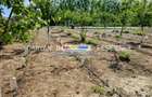 Teren in Poienari Apostoli, 21 E mp, Avantajos, DN1, 34.500 euro - 5