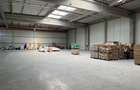 Hala moderna / Productie / Depozitare - 4
