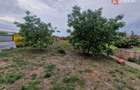 Casa individuala de vanzare cu 5 camere si teren de 2543 mp - Izvin - 13