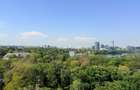 Apartament 4 Camere|Dorobanti Parc Floreasca Beller|Renovat - 12