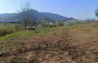 Teren cu vedere superbă in natură  - 4
