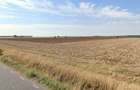 Cel mai bun pret! 1.5 ha, lot teren localitatea Nuci, Ilfov - 1