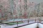 Apartament  2 camere Sinaia - 8