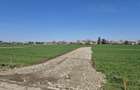 Snagov- Ciofliceni, loturi de casă între 505-628mp, Șerban Cantacuzino! - 2
