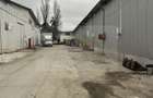 Hala de inchiriat - 10