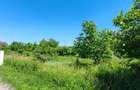 Lot pentru două case – Corbeanca Tamași - 15