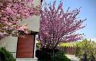 Vila Duplex 5 Camere Sisesti - 1