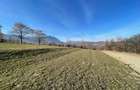 Teren intravilan  intre 500 si 1000 mp cu vedere panoramica   zona  Tohanita - 2