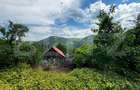 Casă la munte cu teren generos de 9340mp în zona Căpâlna - Valea Sebeșului - 3