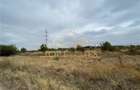 Vanzare teren intravilan zona industriala 5000 mp - Chiajna A1, Ilfov - 4